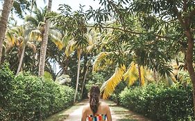 Cabaña Wiwa Tayrona